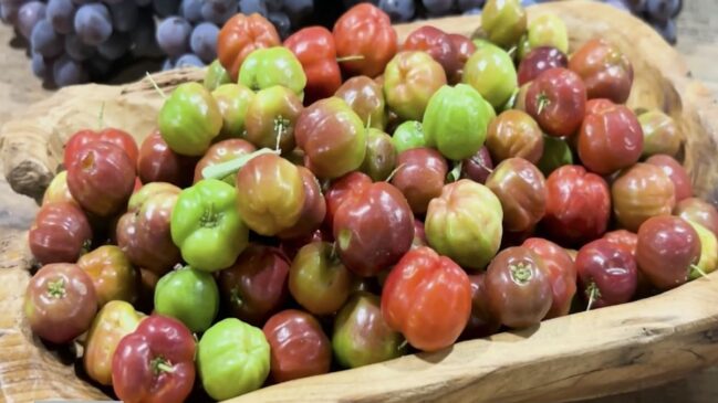 Detalhe da fruta rica em vitamina C cultivada no interior paulista