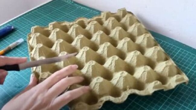 Material simples pode ser transformado em sementeira prática e ecológica