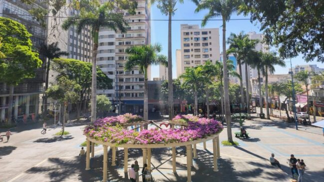 Entenda por que a cidade cresce e como decidir se ela combina com você