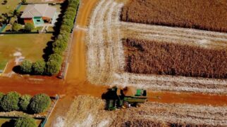 A técnica que elimina fungicidas, corta gastos pela metade e ainda faz o solo pobre voltar a produzir com alto lucro por hectare