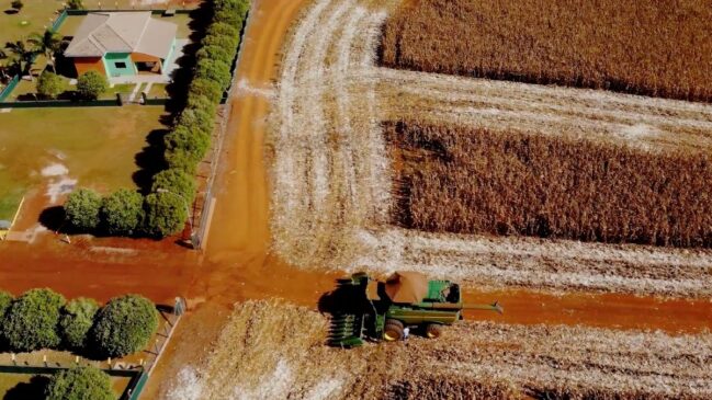 A técnica que elimina fungicidas, corta gastos pela metade e ainda faz o solo pobre voltar a produzir com alto lucro por hectare