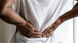 Estudos avaliam similaridade entre os rins dos humanos e desse peixe para buscar novas opções de tratamento renal