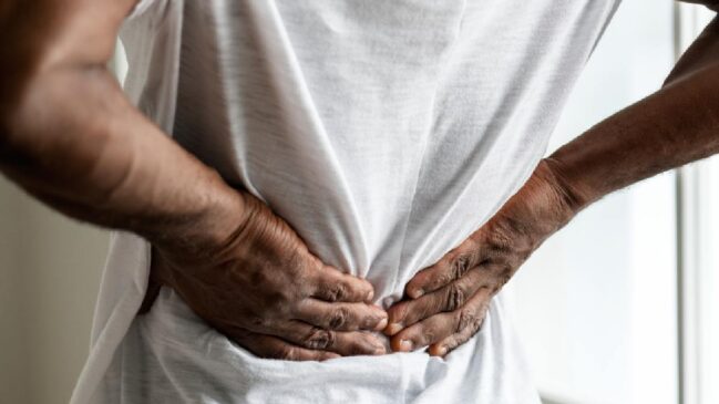 Estudos avaliam similaridade entre os rins dos humanos e desse peixe para buscar novas opções de tratamento renal