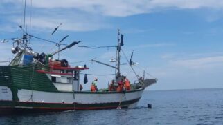 Além da multa, os agentes apreenderam aproximadamente 2.880 quilos de pescado, incluindo 2.875 kg de peixes variados e 5 kg de camarão-branco