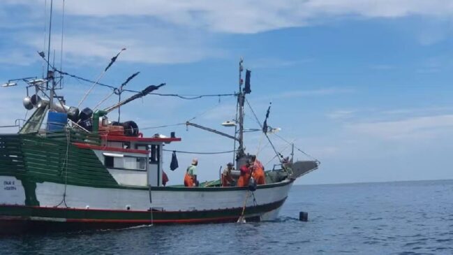 Além da multa, os agentes apreenderam aproximadamente 2.880 quilos de pescado, incluindo 2.875 kg de peixes variados e 5 kg de camarão-branco