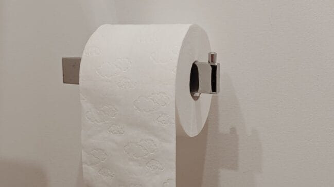 Para manter a higiene sem destruir o patrimônio, a recomendação é substituir o papel higiênico por materiais específicos - (Vie Studio/Pexels)