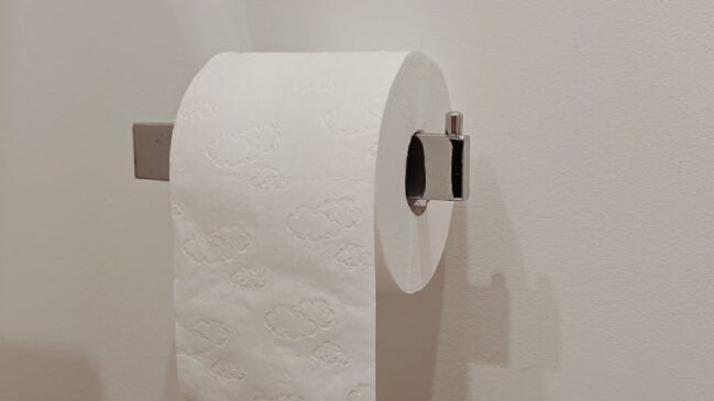 Para manter a higiene sem destruir o patrimônio, a recomendação é substituir o papel higiênico por materiais específicos