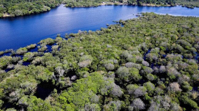 O majestoso Rio Amazonas, famoso por seu volume colossal, pode ter um 'gêmeo' enigmático escondido