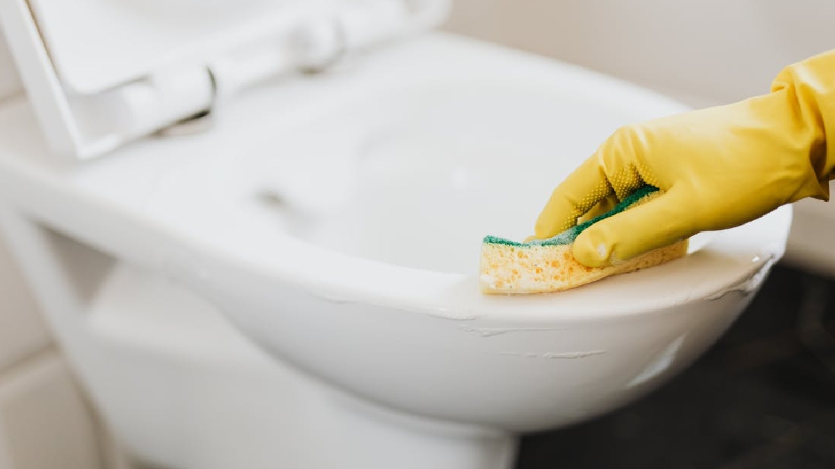 Com o passar das semanas, a textura do assento do vaso muda completamente, perdendo o brilho e ganhando um aspecto fosco e envelhecido - (www.kaboompics.com)