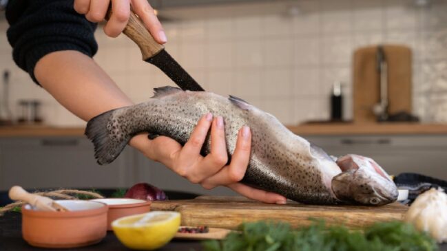 Entenda como ocorre a contaminação por mercúrio e veja quais peixes são considerados mais seguros