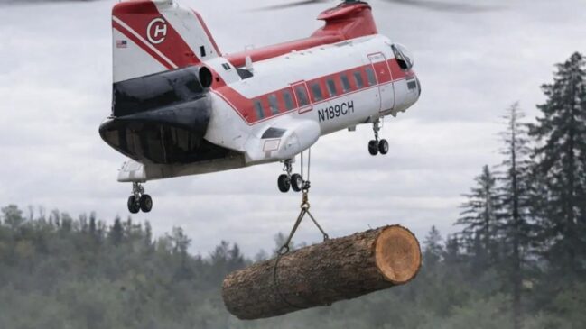 Ação aérea em Washington usa ciência para recuperar rios, peixes e o equilíbrio do ecossistema