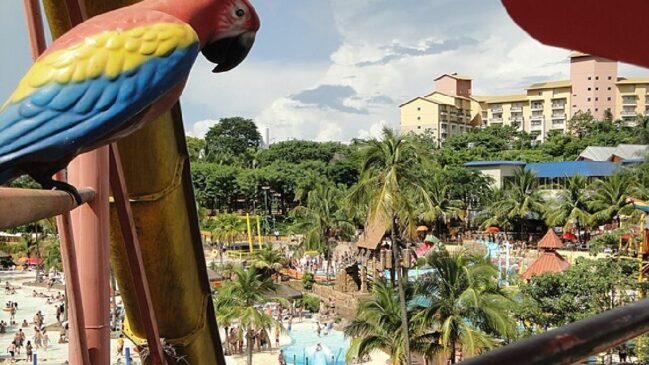 Para planejar sua visita sem imprevistos, atente-se aos detalhes logísticos do parque