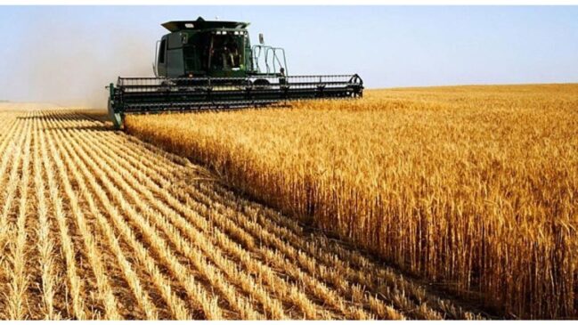 Celeiro global: as plantações brasileiras garantiram um recorde de US$ 169 bilhões em exportações, mantendo o fluxo de moeda estrangeira e o superávit comercial