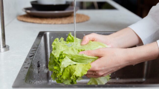 Quando mal higienizada, ela pode ser a causa de doenças transmitidas por alimentos