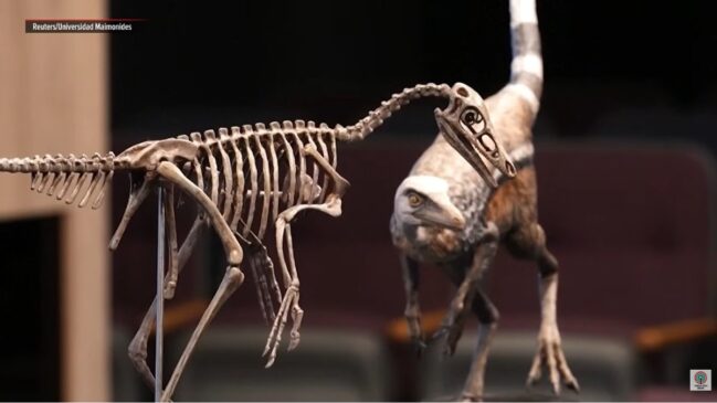 Estudo na Nature mostra que nem todo dinossauro era gigante e aponta nova pista sobre origem do grupo