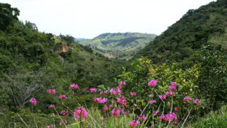 Catuçaba forma um quadrilátero estratégico com as cidades de Paraty, Cunha e Ubatuba