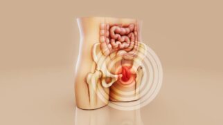 Pesquisas mostram que o apêndice surgiu várias vezes ao longo da evolução dos mamíferos e pode ter oferecido vantagem em contextos com mais infecções intestinais.