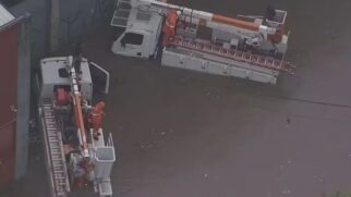 Defesa Civil foi acionada para atender nove ocorrências de quedas de árvores na capital paulista