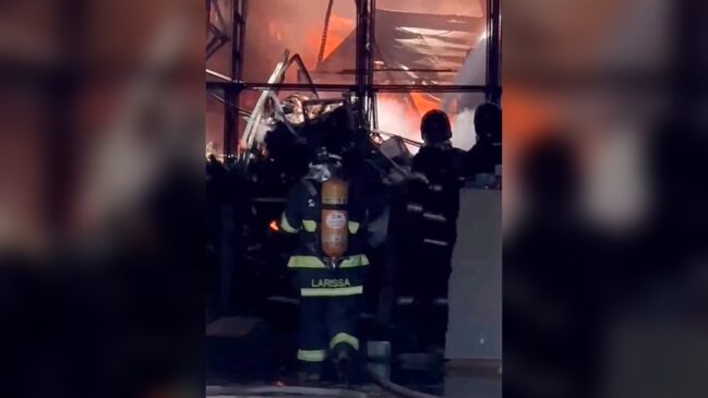 Até o momento, 16 viaturas e 43 bombeiros trabalham para conter as chamas