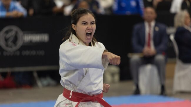 A programação terá início no dia 24 de abril, uma sexta-feira, com o Seminário Festival de Kobudo e o Festival Parakarate