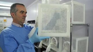 Revista reconheceu o trabalho e a liderança de Moreira em projetos inovadores de controle de arboviroses em território nacional