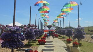 Existe um roteiro de final de semana melhor do que a Cidade das Flores para o Dia da Mulher?