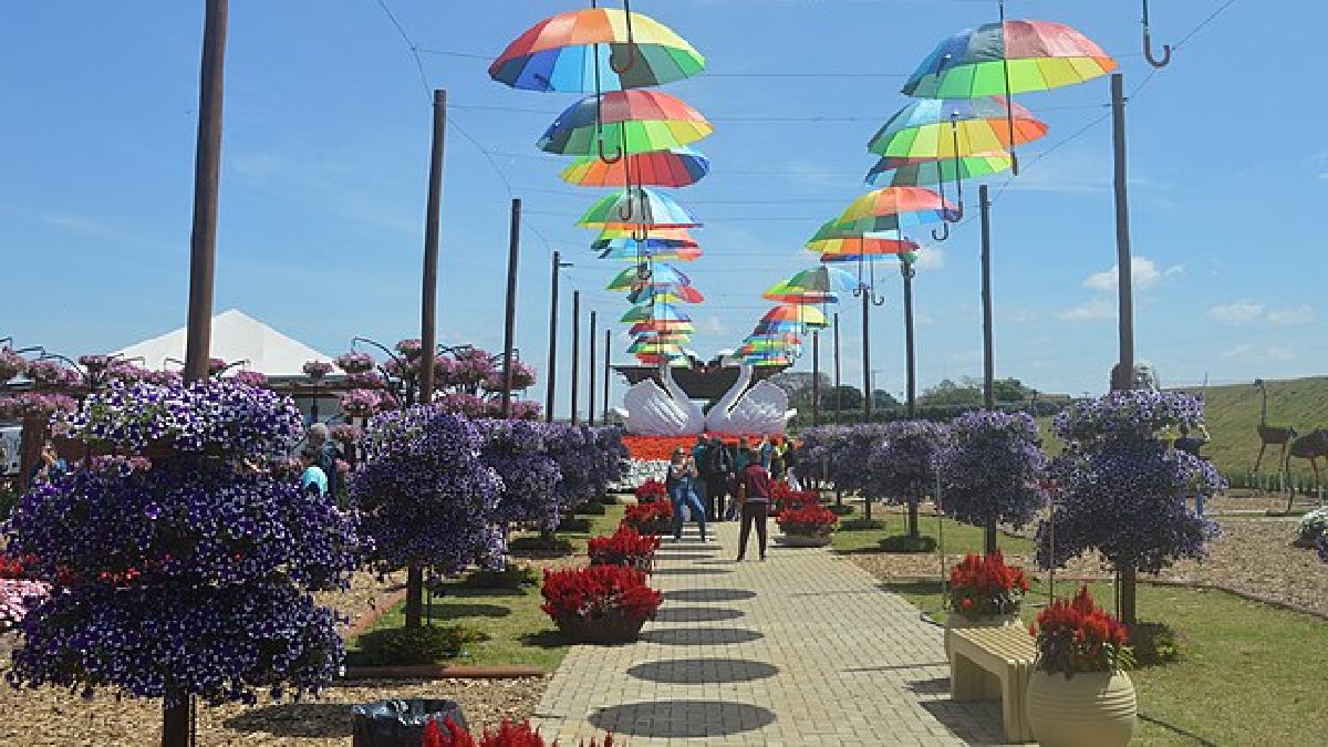 Existe um roteiro de final de semana melhor do que a Cidade das Flores para o Dia da Mulher?