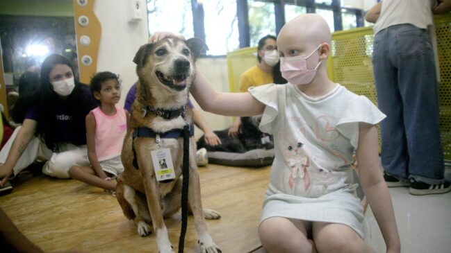 Isabela brinca com um dos cães levados pelo Instituto Caramelo