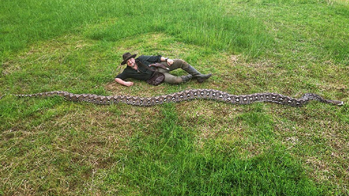 Atualmente, a Ibu Baron vive em um santuário sob os cuidados do ambientalista Budi Purwanto - (Divulgação/Guinness Book)