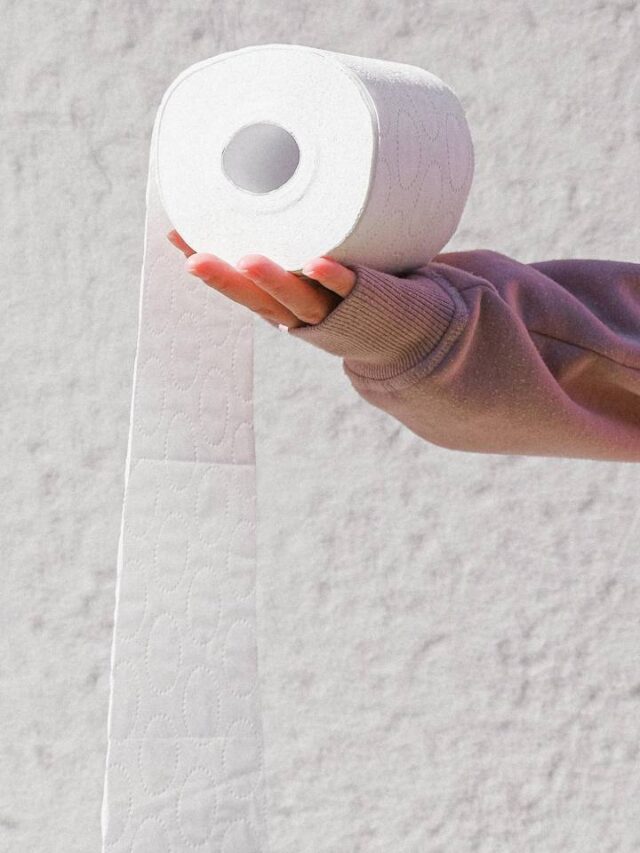 Fim do papel higiênico? Novo item domina banheiros no Brasil