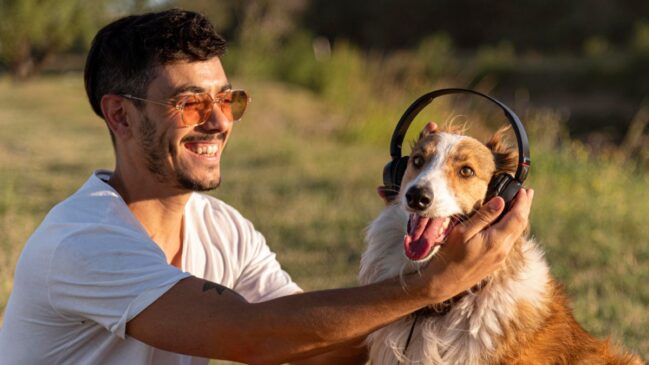 Estudo com cães de abrigo mostrou mudanças reais no comportamento após exposição a ritmos mais suaves e previsíveis