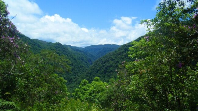 Além da natureza, tradições culturais e rotas de ecoturismo ajudam a revelar um lado ainda pouco conhecido do estado