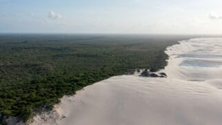 Cenário natural atrai visitantes interessados em conhecer um dos destinos mais curiosos do litoral brasileiro