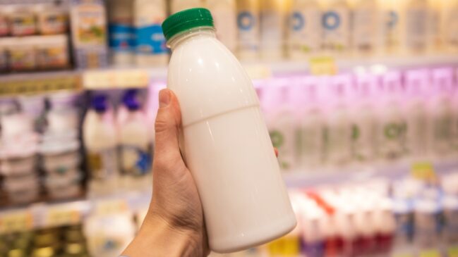 Entender o teor de gordura e o perfil nutricional ajuda a fazer escolhas mais adequadas para crianças, adultos e idosos