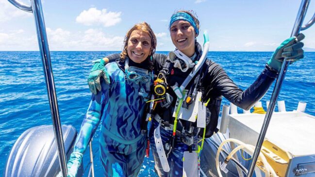 Entenda por que o tamanho e a localização do coral chamaram a atenção de especialistas e o que isso revela sobre a saúde dos oceanos