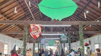 Paranapiacaba recebe, em abril, a 21ª edição do tradicional Festival do Cambuci de Paranapiacaba