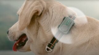 Conceito central do PetPhone é a comunicação bidirecional