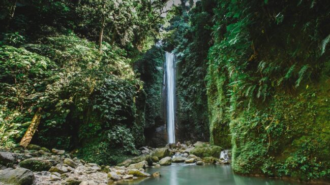 Caminhada por trilha na mata revela paisagem preservada entre mar e montanhas no litoral paulista.