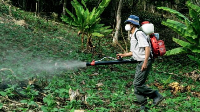 Presente no campo e no debate público, o glifosato levanta dúvidas sobre riscos à saúde e ao meio ambiente. Entenda por que a exposição preocupa, quem é mais vulnerável e como o tema é regulado.