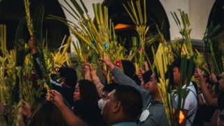 Mais do que tradição, os ramos carregam um símbolo de fé que acompanha os fiéis durante todo o ano