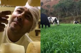 Fazenda de Marcos Palmeira vira referência com queijo premiado e visitas guiadas