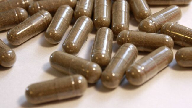 Proibição na Dinamarca pressiona União Europeia a definir regras claras para suplementos com ashwagandha