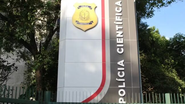 As peças foram localizadas na segunda-feira (23/3), em uma área da região central da cidade