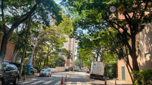 Manual técnico municipal mostra como árvores, cobertura vegetal e desenho urbano interferem no calor sentido por quem circula a pé