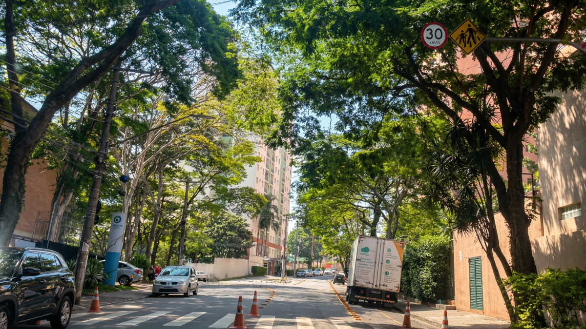 Manual técnico municipal mostra como árvores, cobertura vegetal e desenho urbano interferem no calor sentido por quem circula a pé