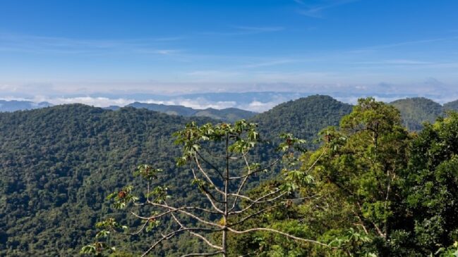 Localizado a apenas 135 km de São Paulo, o município é um verdadeiro santuário ecológico totalmente envolto pela Mata Atlântica