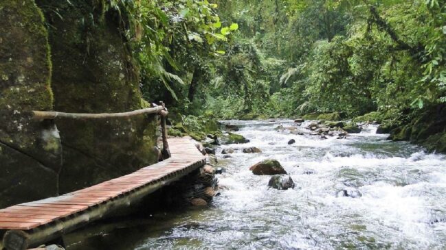 Rio Betari atrai turistas do mundo todo pela sua visibilidade, que ultrapassa os 10 metros