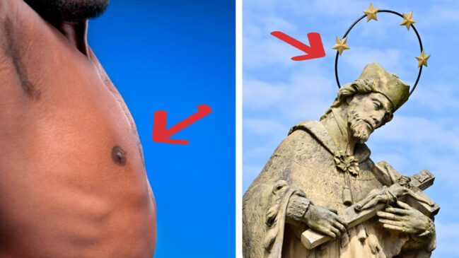 Palavras parecidas confundem muita gente. Veja o que significa auréola, o que significa aréola e em que contexto cada termo deve aparecer