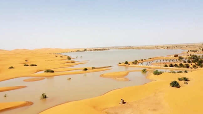 Entre salinidade elevada, evaporação intensa e dunas móveis, esses lagos mostram que o deserto nem sempre foi o cenário árido que vemos hoje.