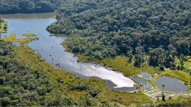 No extremo sul da maior cidade do país, uma área cercada por mata, rios e silêncio surpreende quem não imagina encontrar natureza dentro da capital